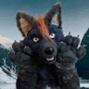 Meet your Posher, Tanner